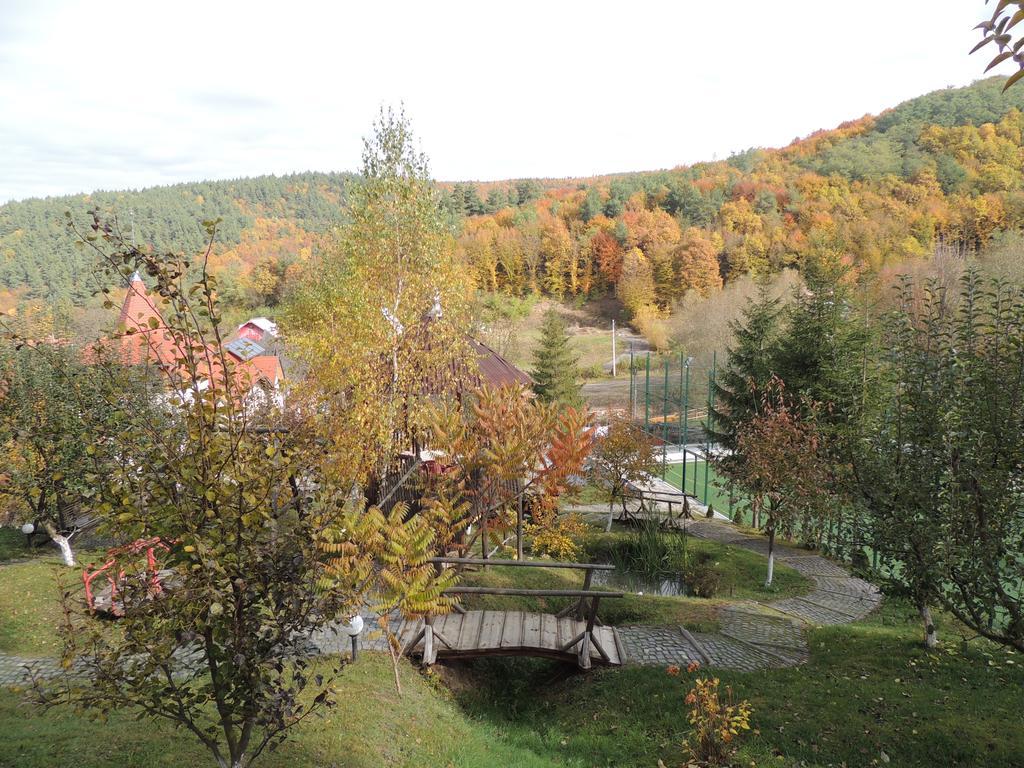 Mokus Panzio Bed and Breakfast Bicfălău Εξωτερικό φωτογραφία